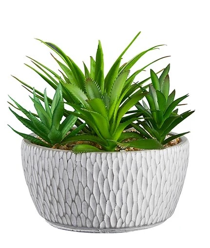 Faux Succulent Garden