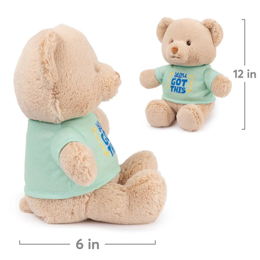 You Got This Bear