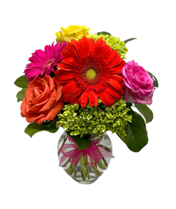 Flowers & Plants