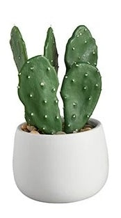 Faux Cactus Plant