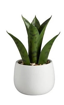 Faux Cactus Plant