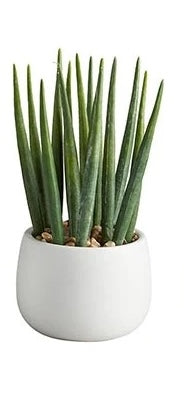 Faux Cactus Plant