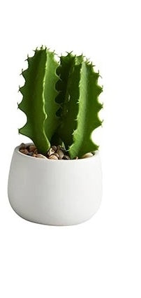 Faux Cactus Plant