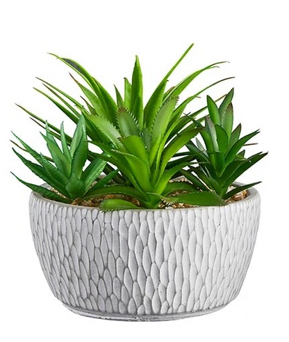 Faux Succulent Garden