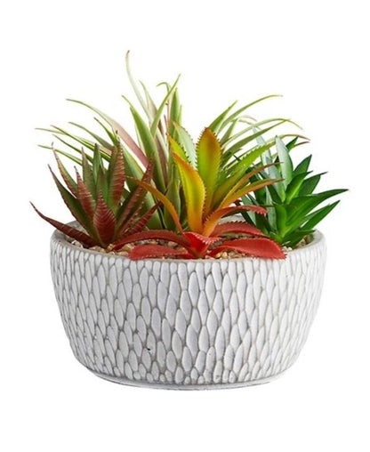 Faux Succulent Garden